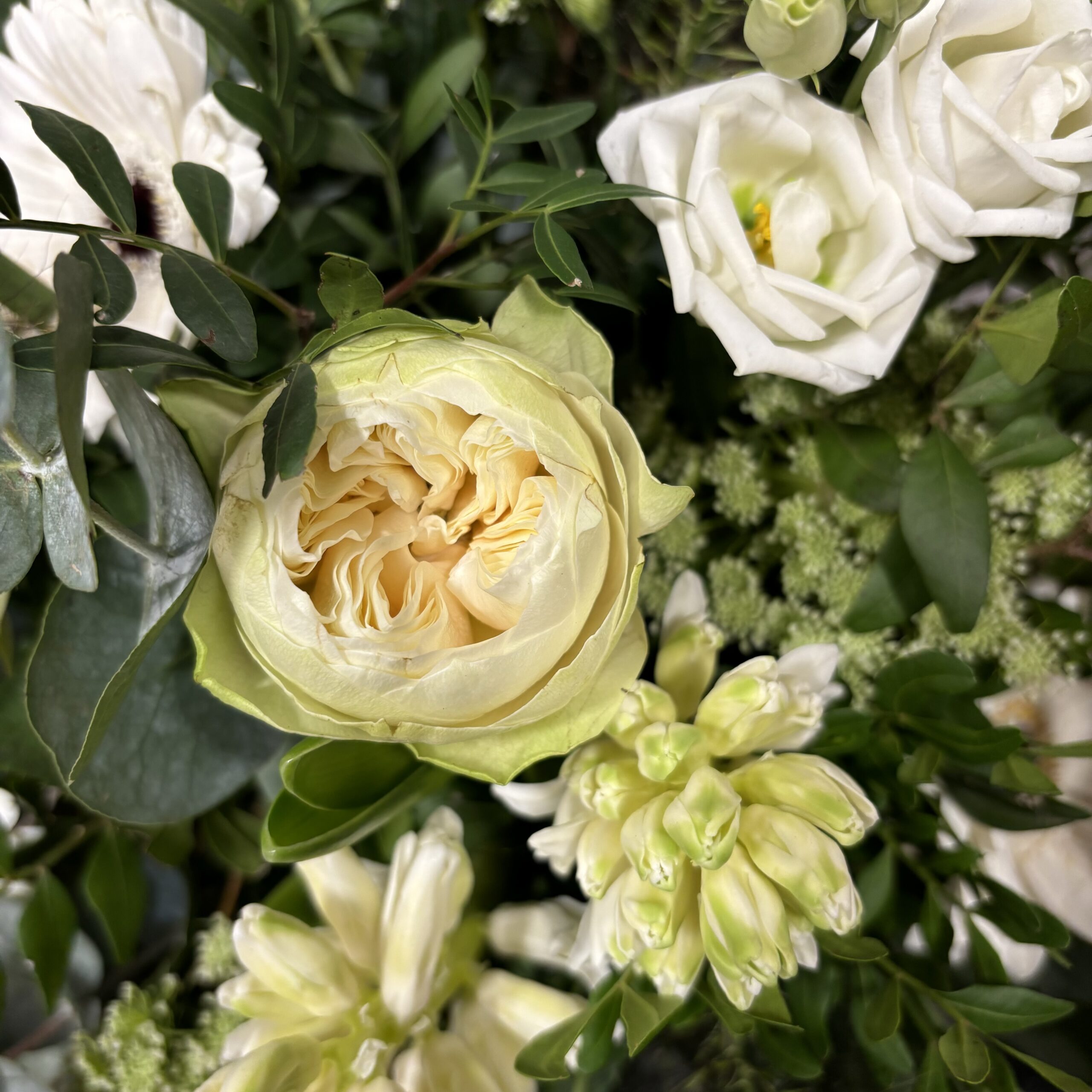Bouquet fête des mamie blanc, Fleuriste à Lorient