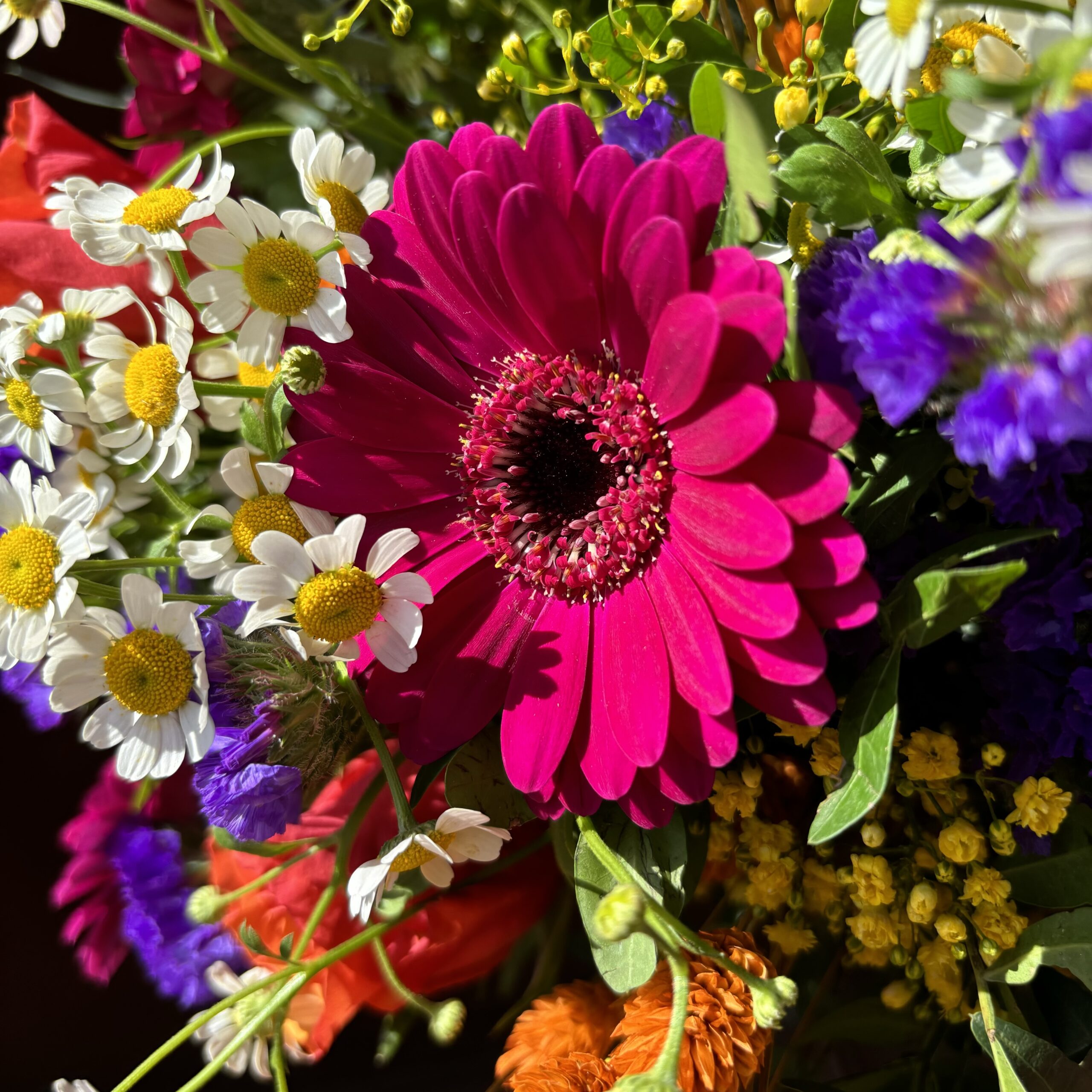 Bouquet colorés pour égayer votre maison, Villa Florale Fleuriste à Lorient
