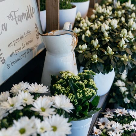 présentoir fleurs