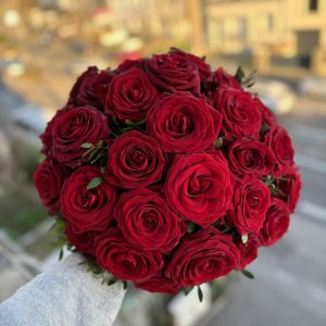 IMG_9041
